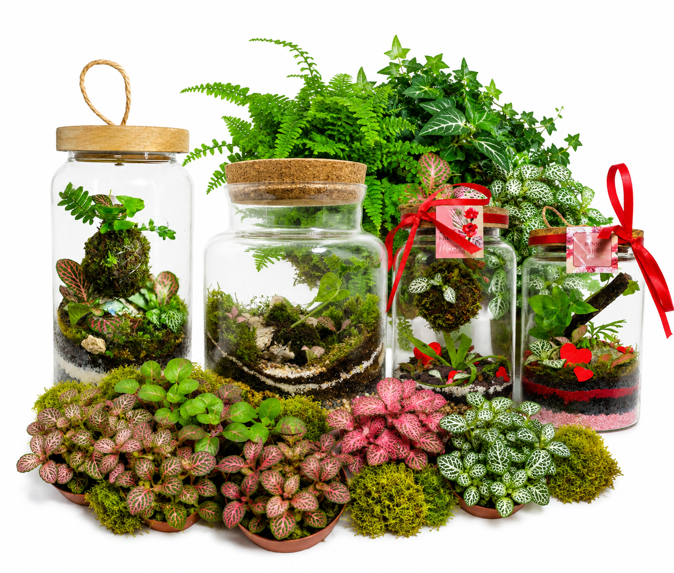 Des Jardins Miniatures
